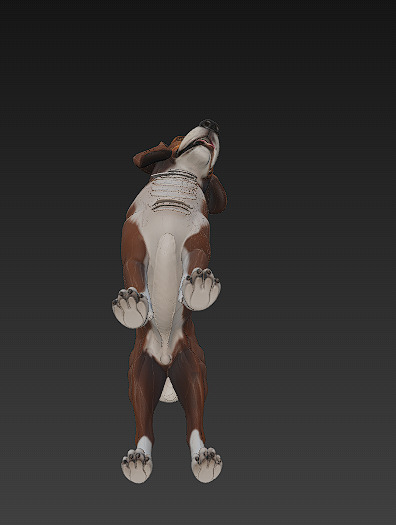 Dog Realistic 3D Model Basic - Low Poly Realistic Low-poly 3D model_9