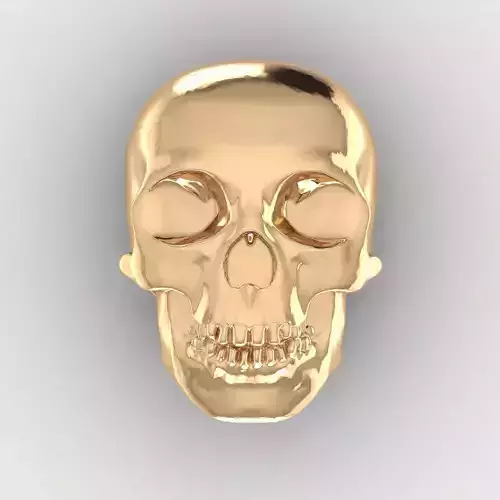 Skull 11 3D print model