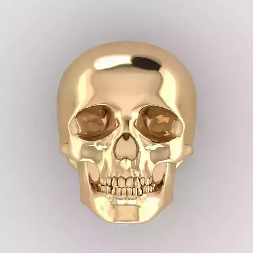 Skull 12