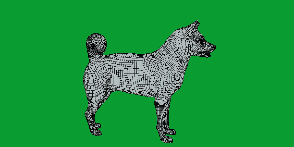 Karelian Bear Dog Low-poly 3D model_8