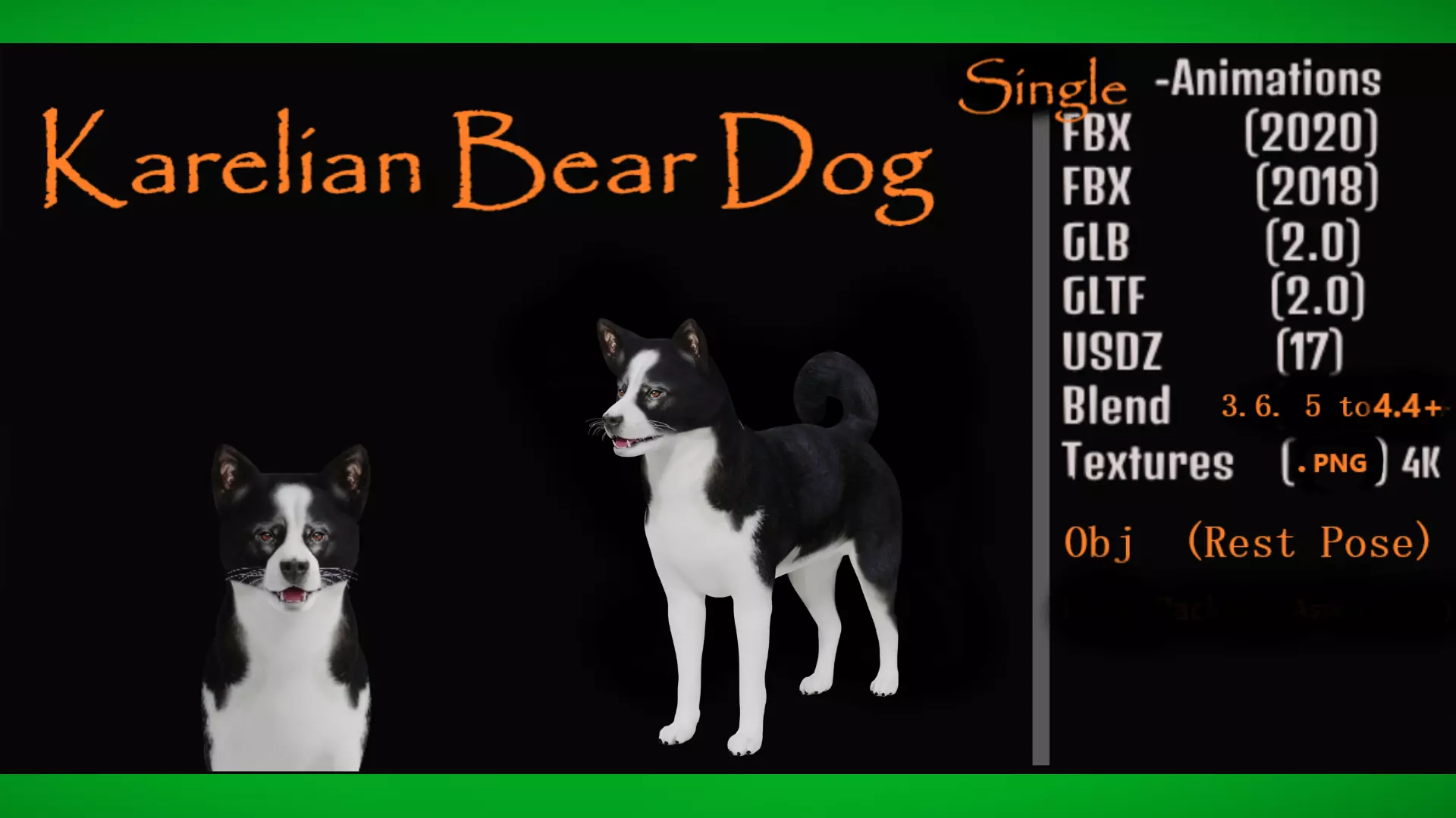 Karelian Bear Dog Low-poly 3D model_0