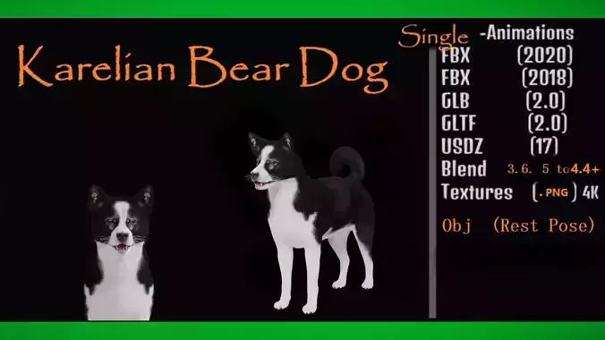 Karelian Bear Dog Low-poly 3D model
