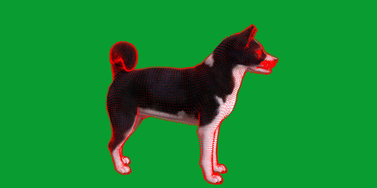 Karelian Bear Dog Low-poly 3D model_7
