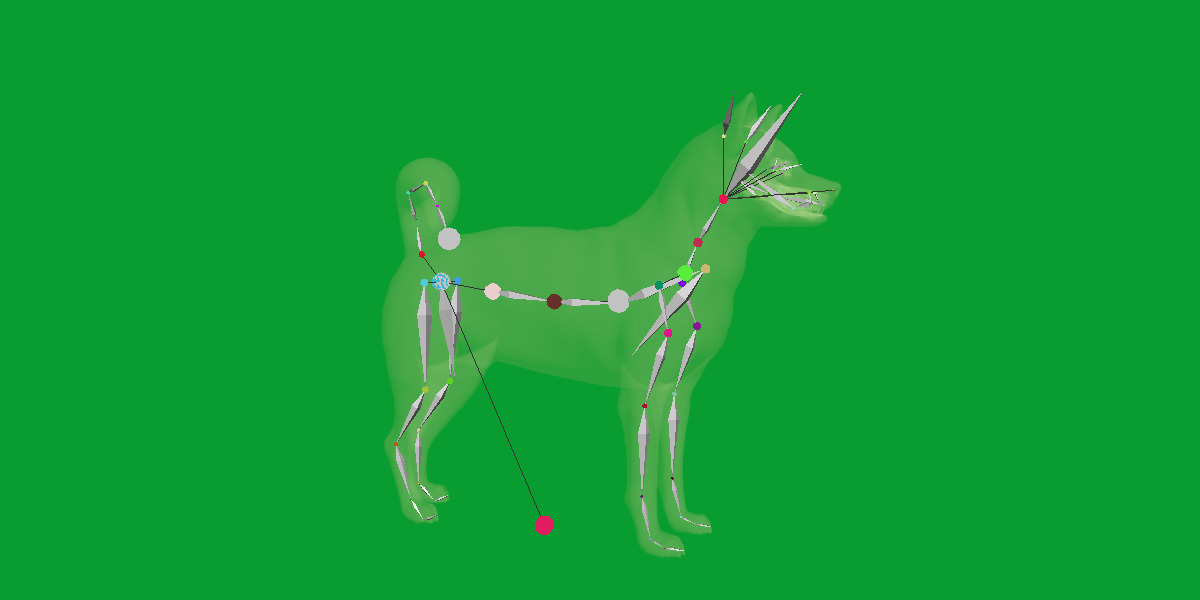 Karelian Bear Dog Low-poly 3D model_20