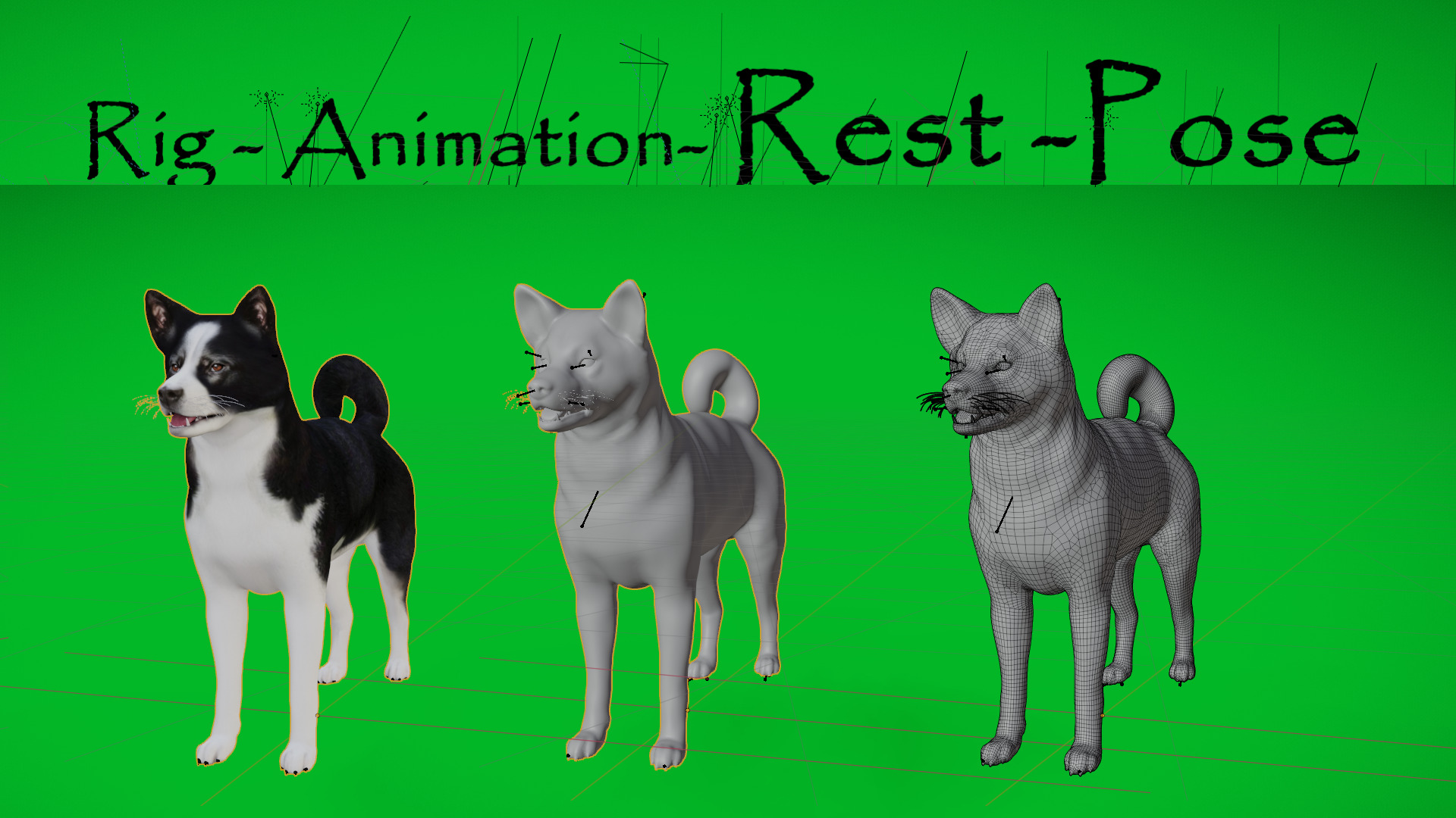 Karelian Bear Dog Low-poly 3D model_4