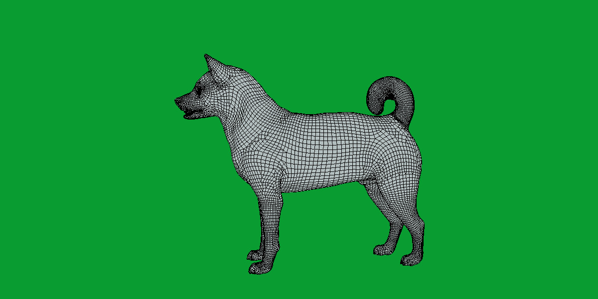 Karelian Bear Dog Low-poly 3D model_5