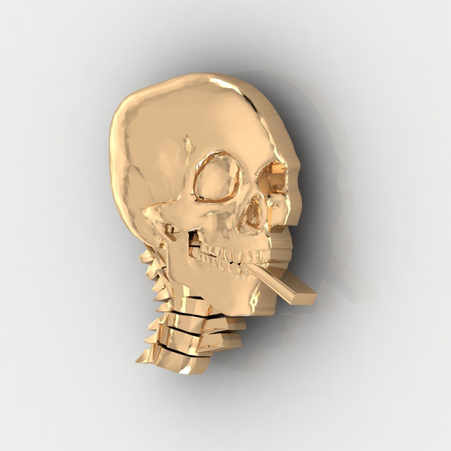 Skull 15 3D print model_1