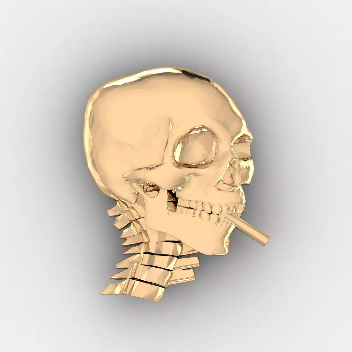 Skull 15 3D print model_0