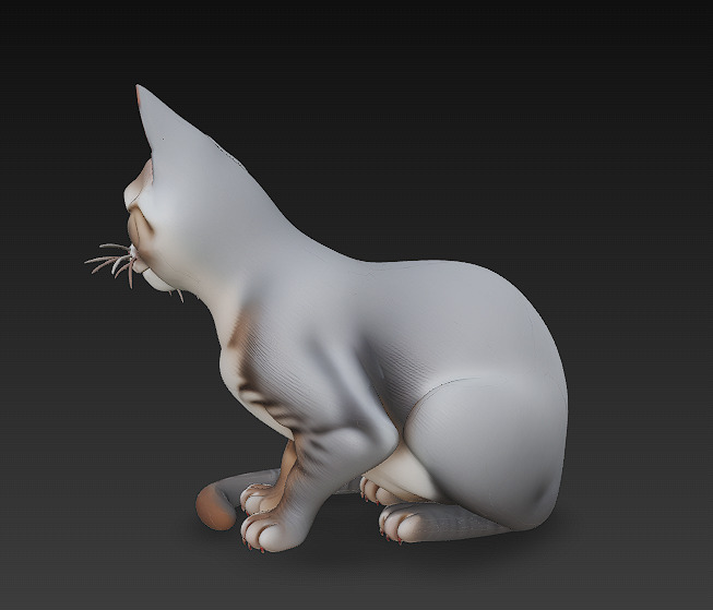 Cat Realistic 3D Model Basic - Low Poly Realistic Low-poly 3D model_5