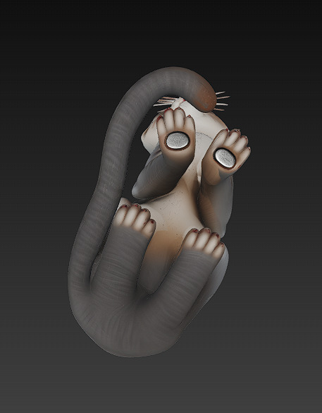 Cat Realistic 3D Model Basic - Low Poly Realistic Low-poly 3D model_7