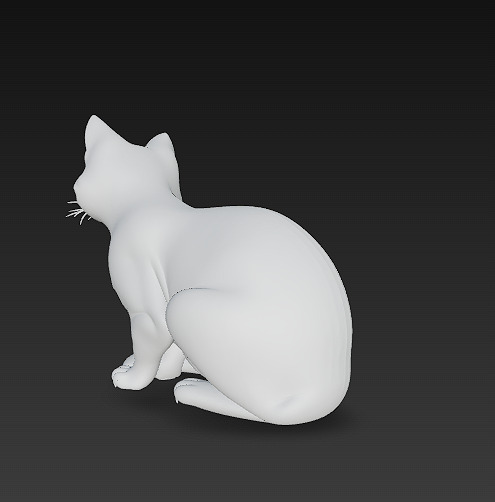 Cat Realistic 3D Model Basic - Low Poly Realistic Low-poly 3D model_11