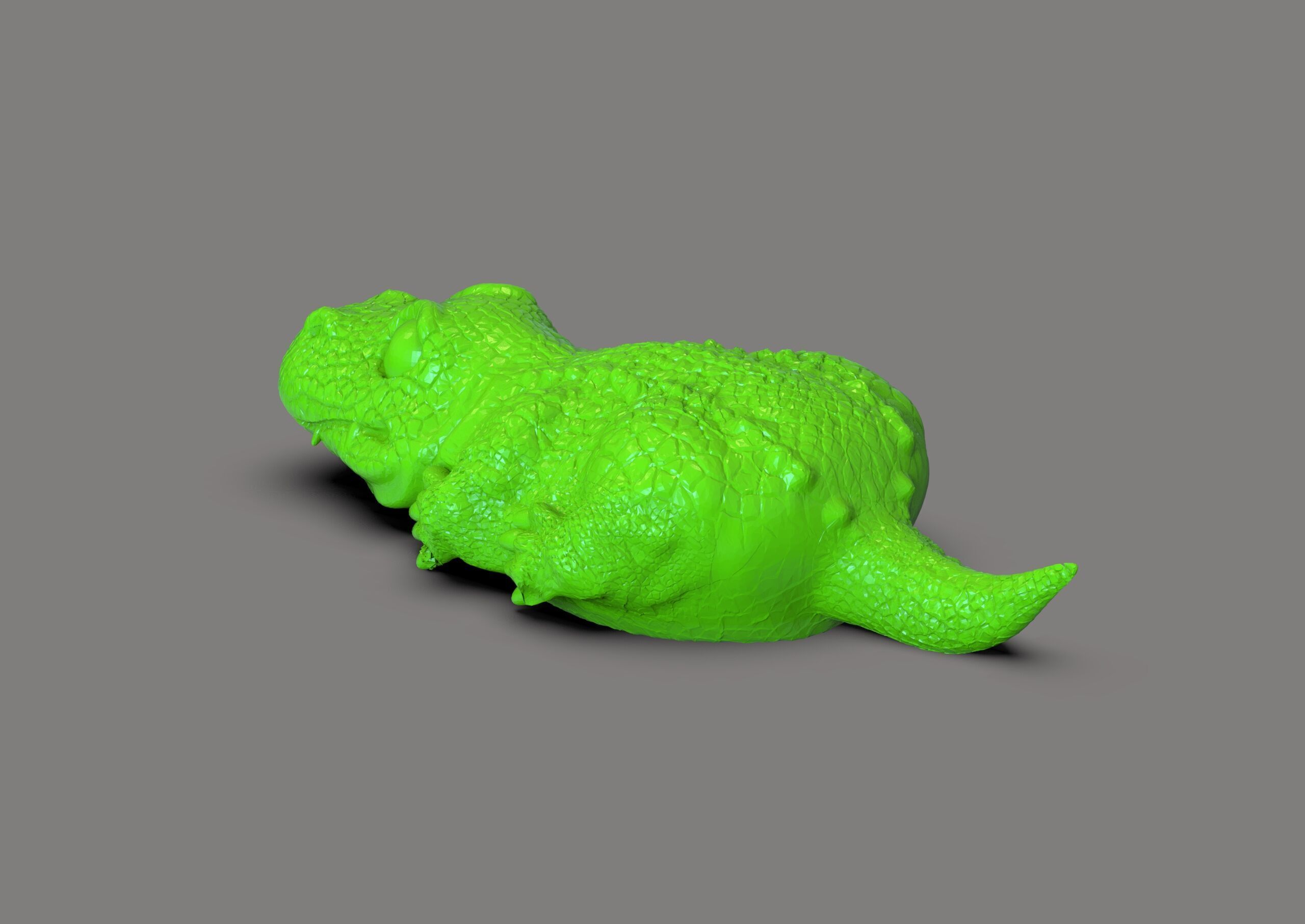 Crocodrile toon 3D print model_3