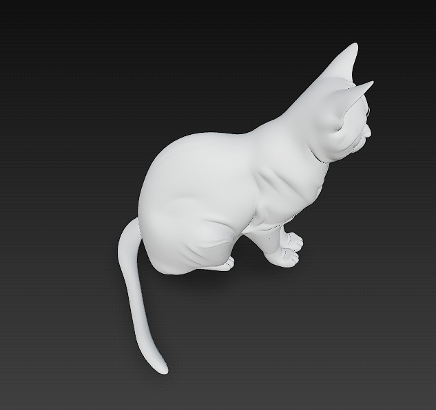 Cat Realistic 3D Model Basic - Low Poly Realistic Low-poly 3D model_11