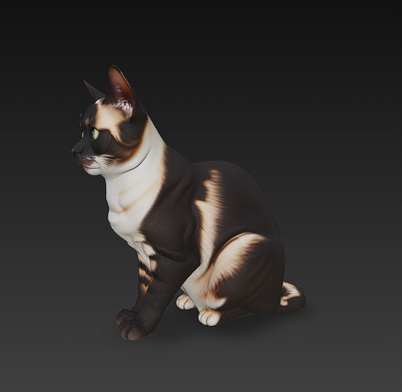 Cat Realistic 3D Model Basic - Low Poly Realistic Low-poly 3D model_1