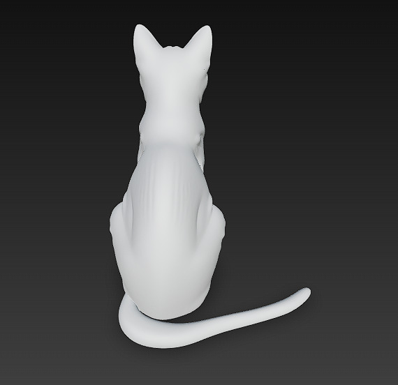 Cat Realistic 3D Model Basic - Low Poly Realistic Low-poly 3D model_10