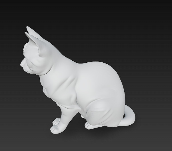 Cat Realistic 3D Model Basic - Low Poly Realistic Low-poly 3D model_9