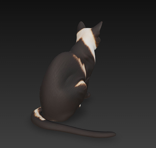 Cat Realistic 3D Model Basic - Low Poly Realistic Low-poly 3D model_3
