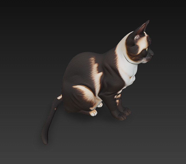 Cat Realistic 3D Model Basic - Low Poly Realistic Low-poly 3D model_4