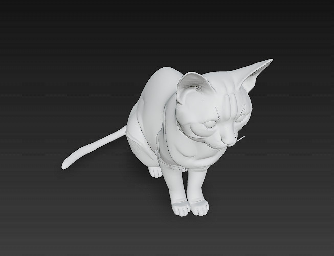 Cat Realistic 3D Model Basic - Low Poly Realistic Low-poly 3D model_12