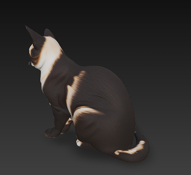 Cat Realistic 3D Model Basic - Low Poly Realistic Low-poly 3D model_2