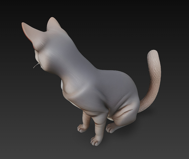 Cat Realistic 3D Model Basic - Low Poly Realistic Low-poly 3D model_4