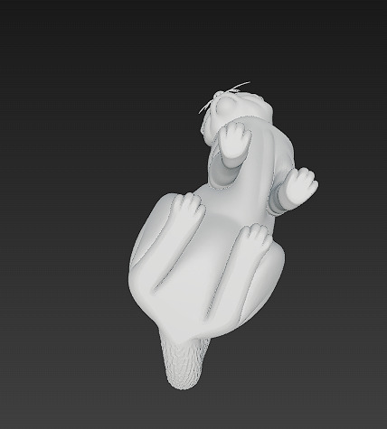 Cat Realistic 3D Model Basic - Low Poly Realistic Low-poly 3D model_15