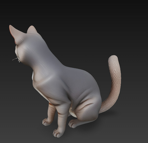 Cat Realistic 3D Model Basic - Low Poly Realistic Low-poly 3D model_2