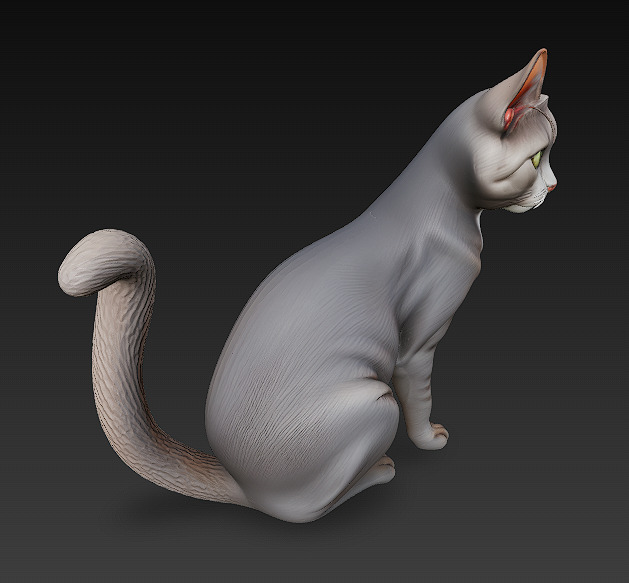 Cat Realistic 3D Model Basic - Low Poly Realistic Low-poly 3D model_3