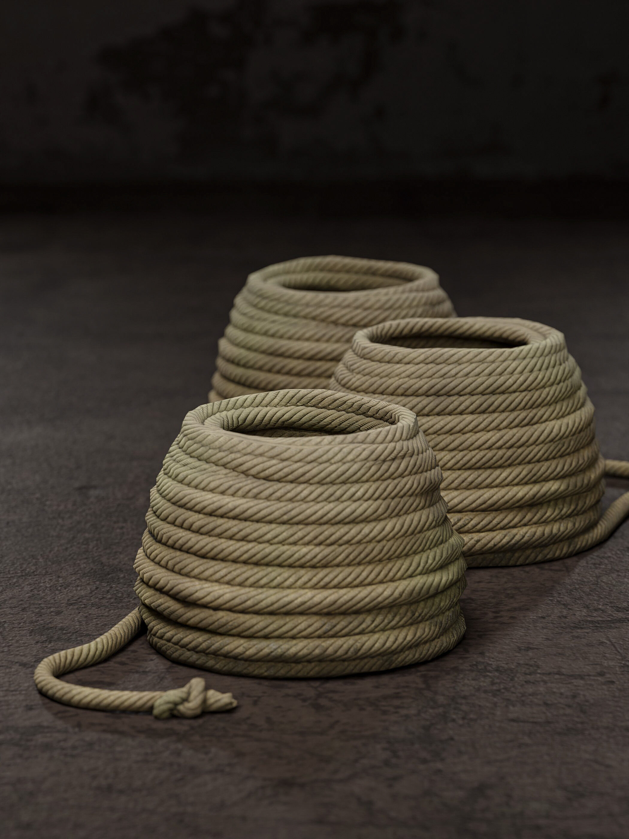 Rope coil Free low-poly 3D model_7