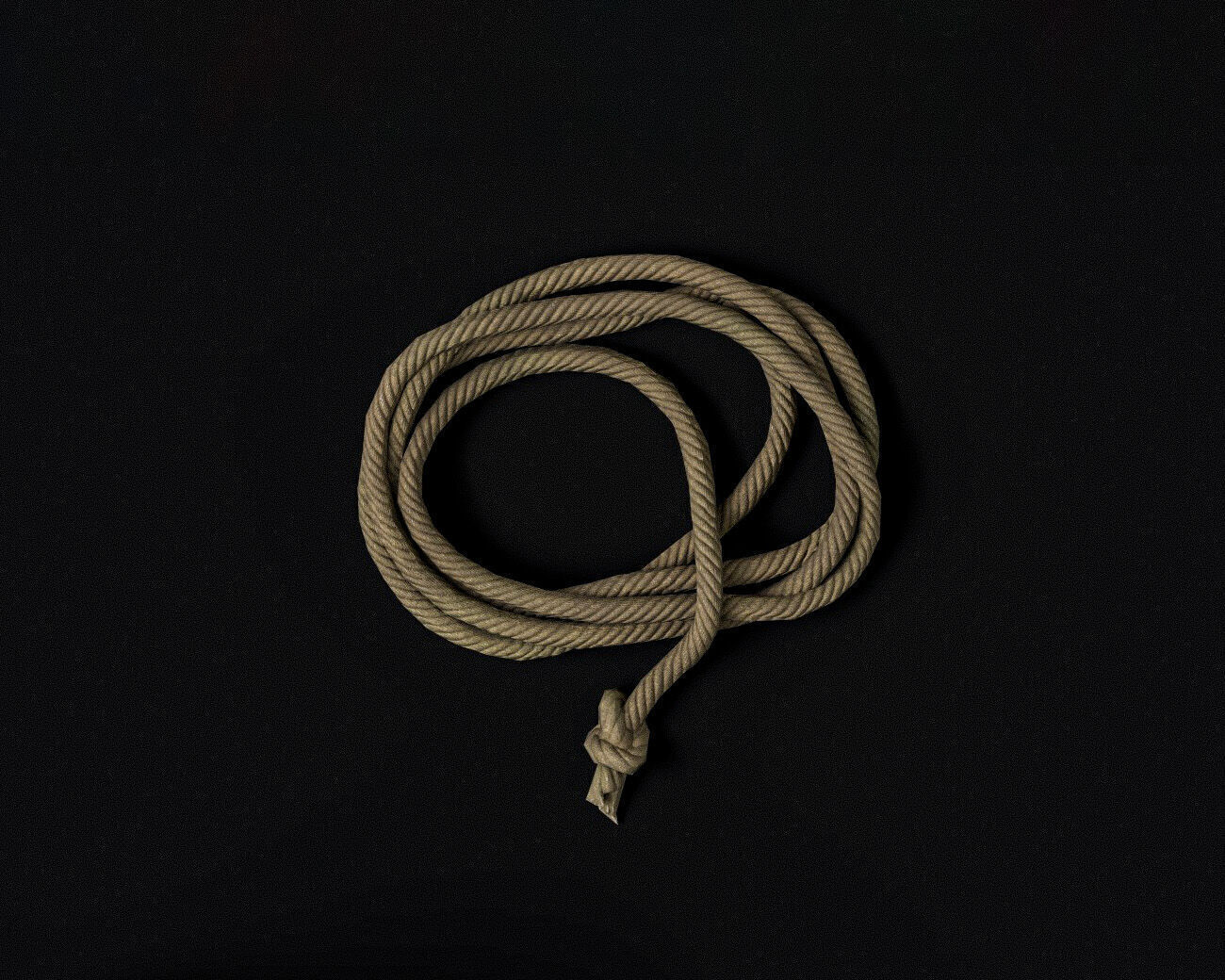 Rope coil Free low-poly 3D model_9
