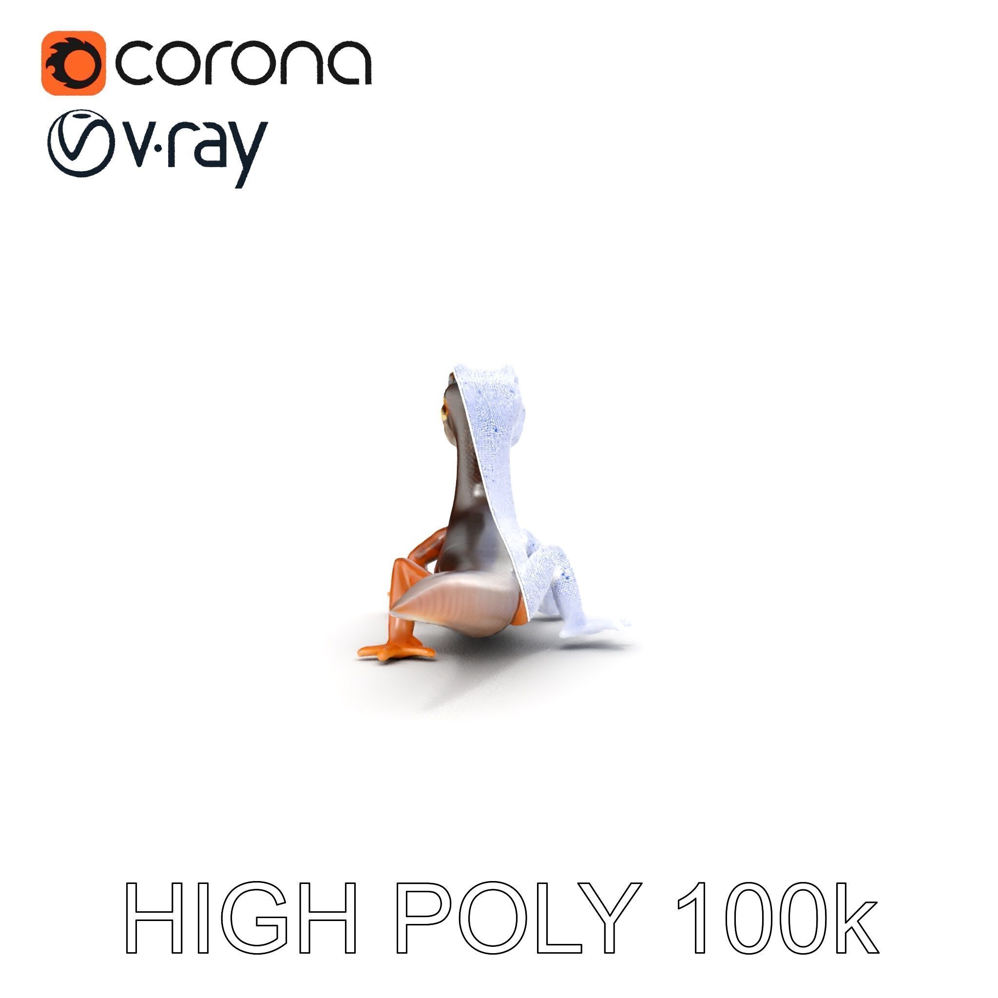 Realistic Lizard D Model Pack Low-poly 3D model_8