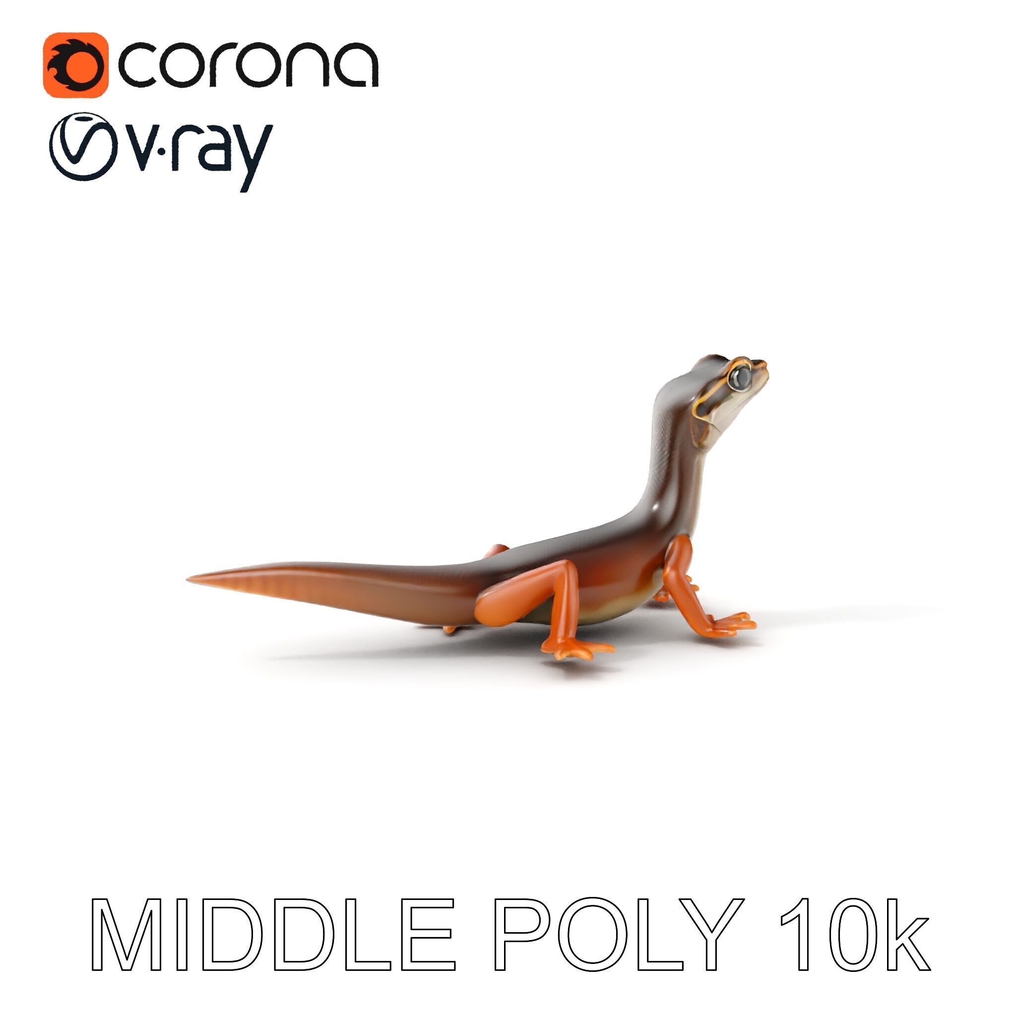 Realistic Lizard D Model Pack Low-poly 3D model_20