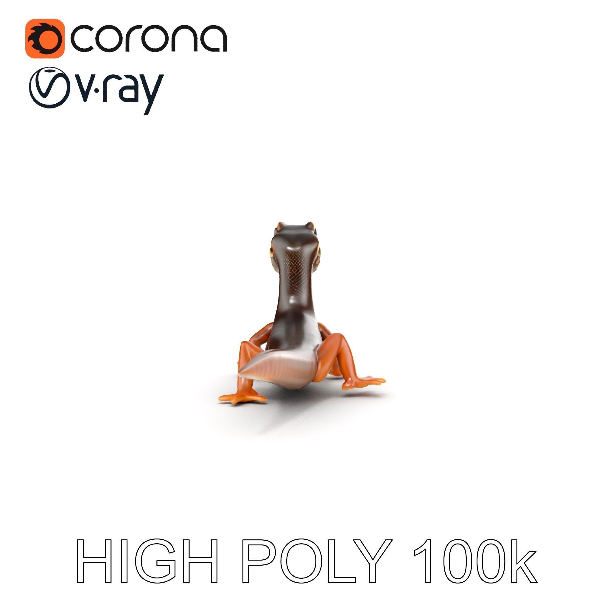 Realistic Lizard D Model Pack Low-poly 3D model_19