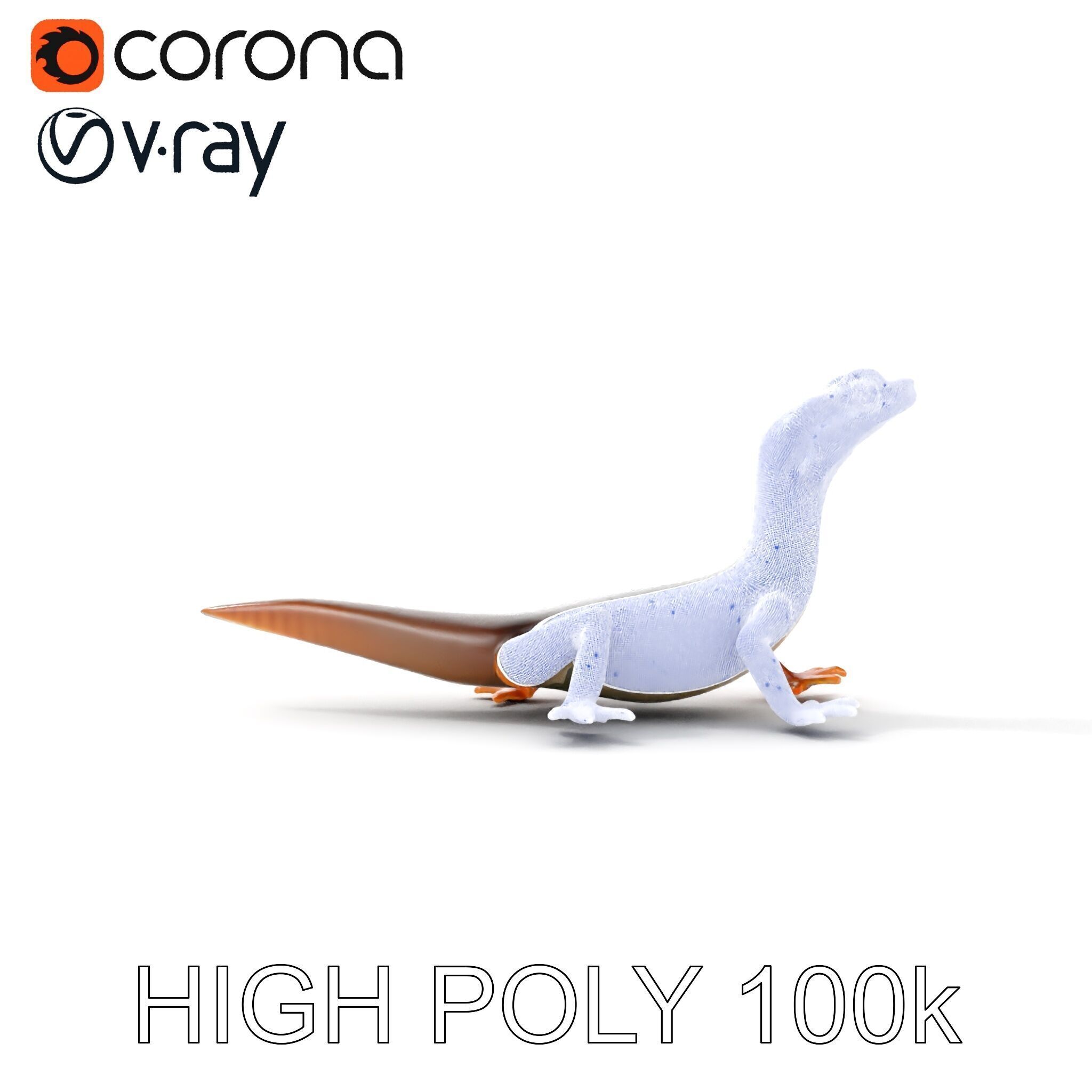 Realistic Lizard D Model Pack Low-poly 3D model_16