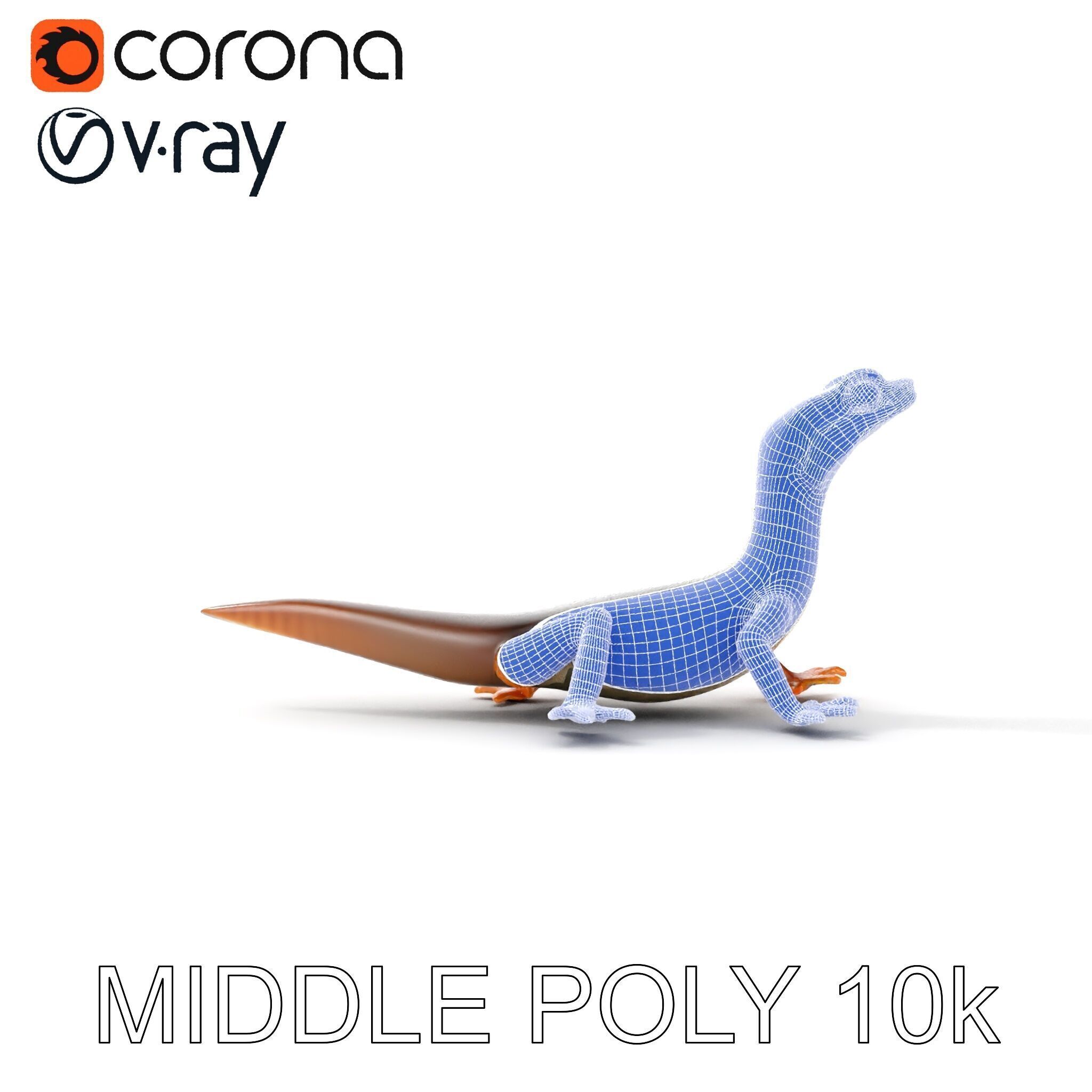 Realistic Lizard D Model Pack Low-poly 3D model_14