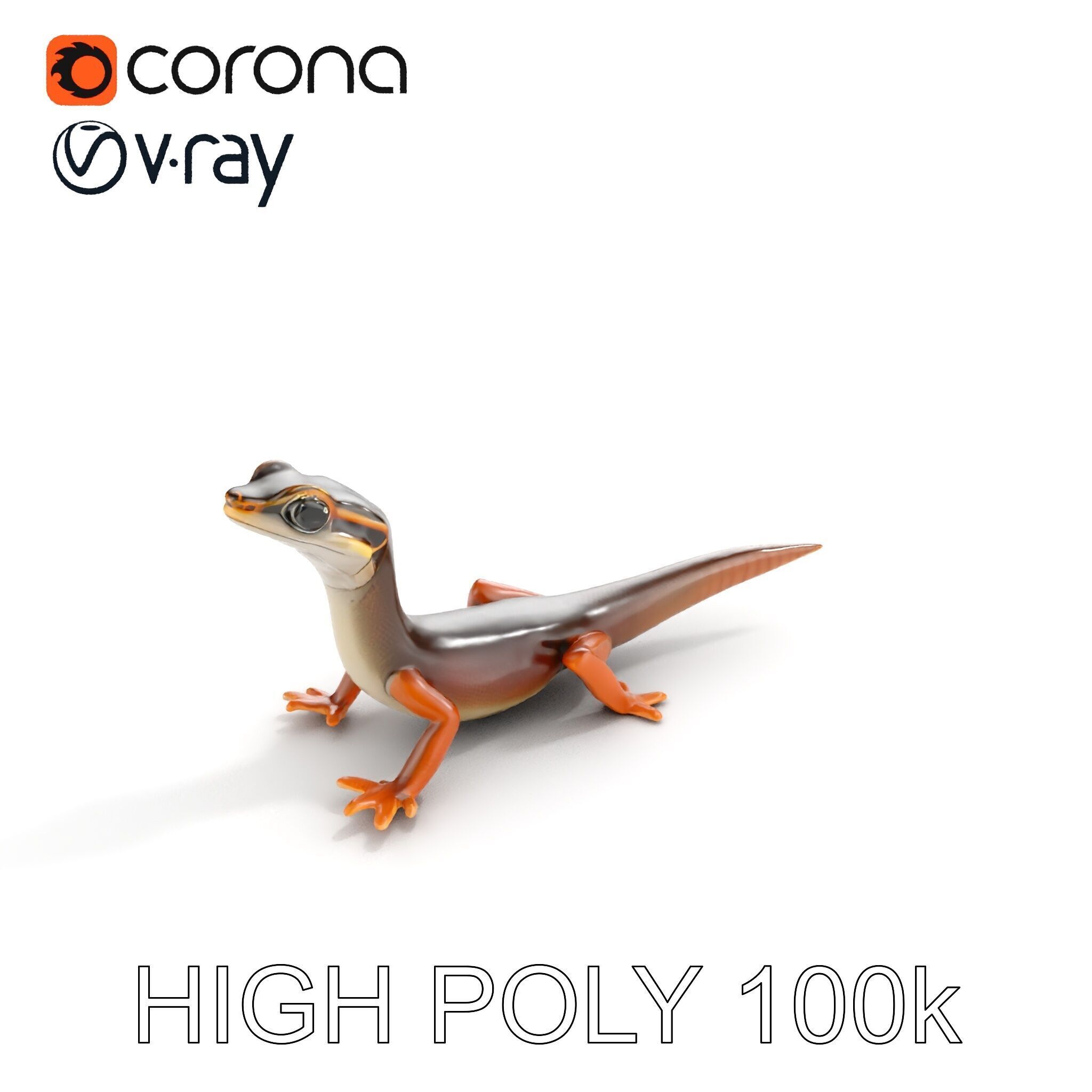 Realistic Lizard D Model Pack Low-poly 3D model_26