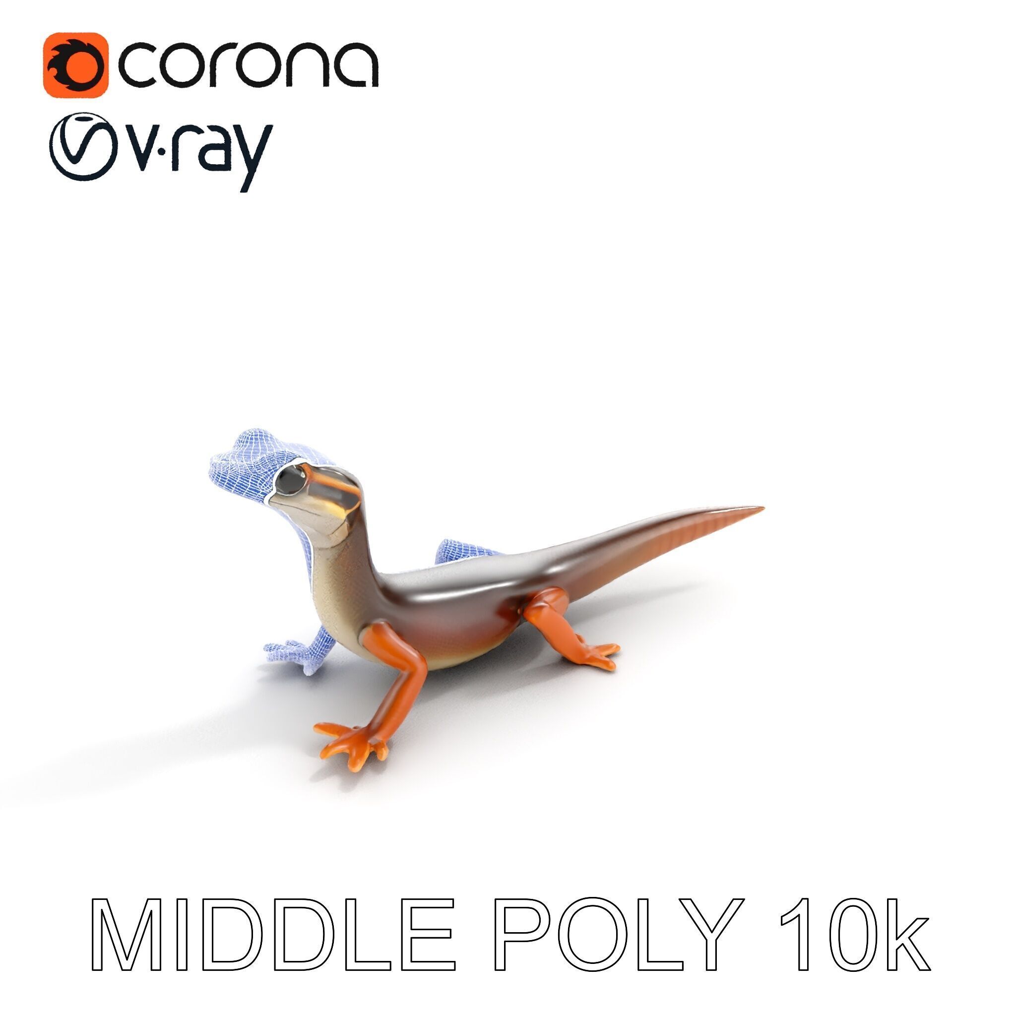 Realistic Lizard D Model Pack Low-poly 3D model_30