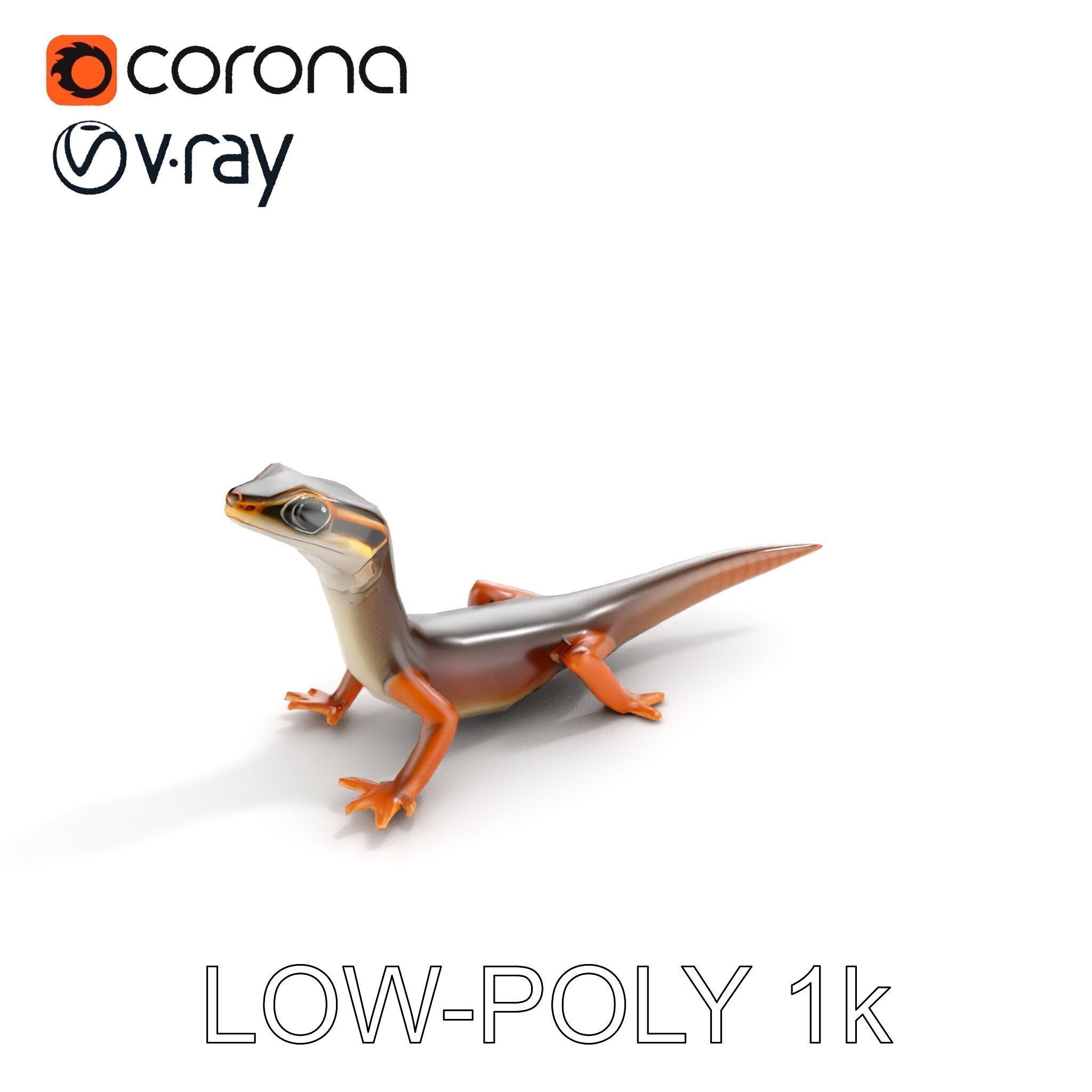 Realistic Lizard D Model Pack Low-poly 3D model_13