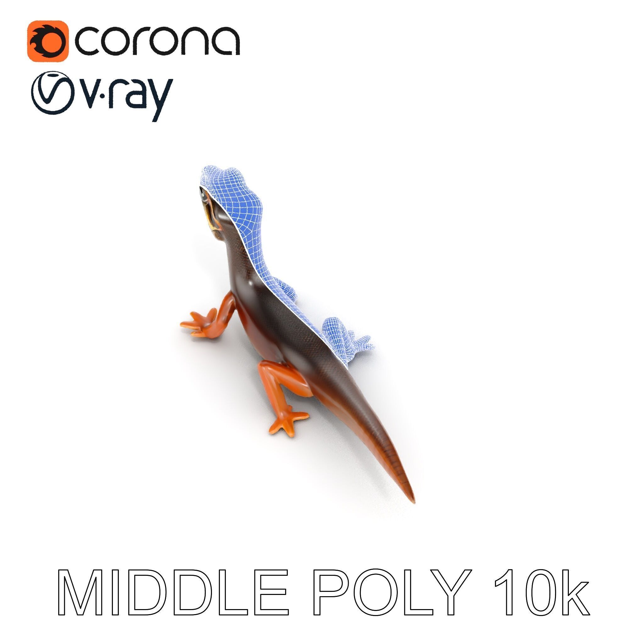 Realistic Lizard D Model Pack Low-poly 3D model_12