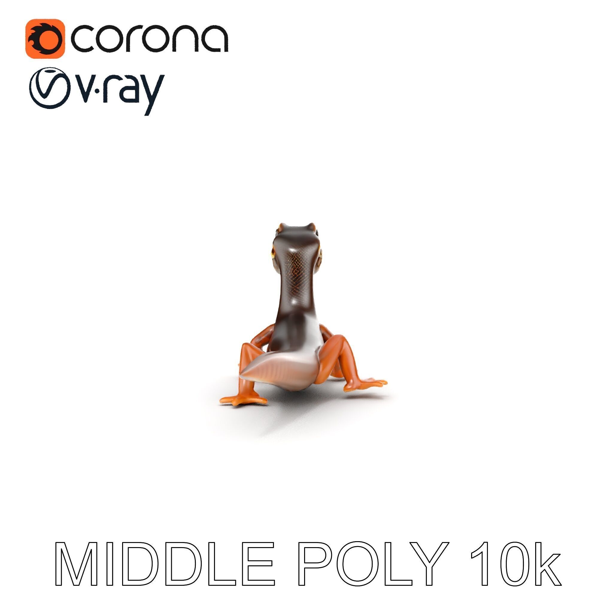 Realistic Lizard D Model Pack Low-poly 3D model_33