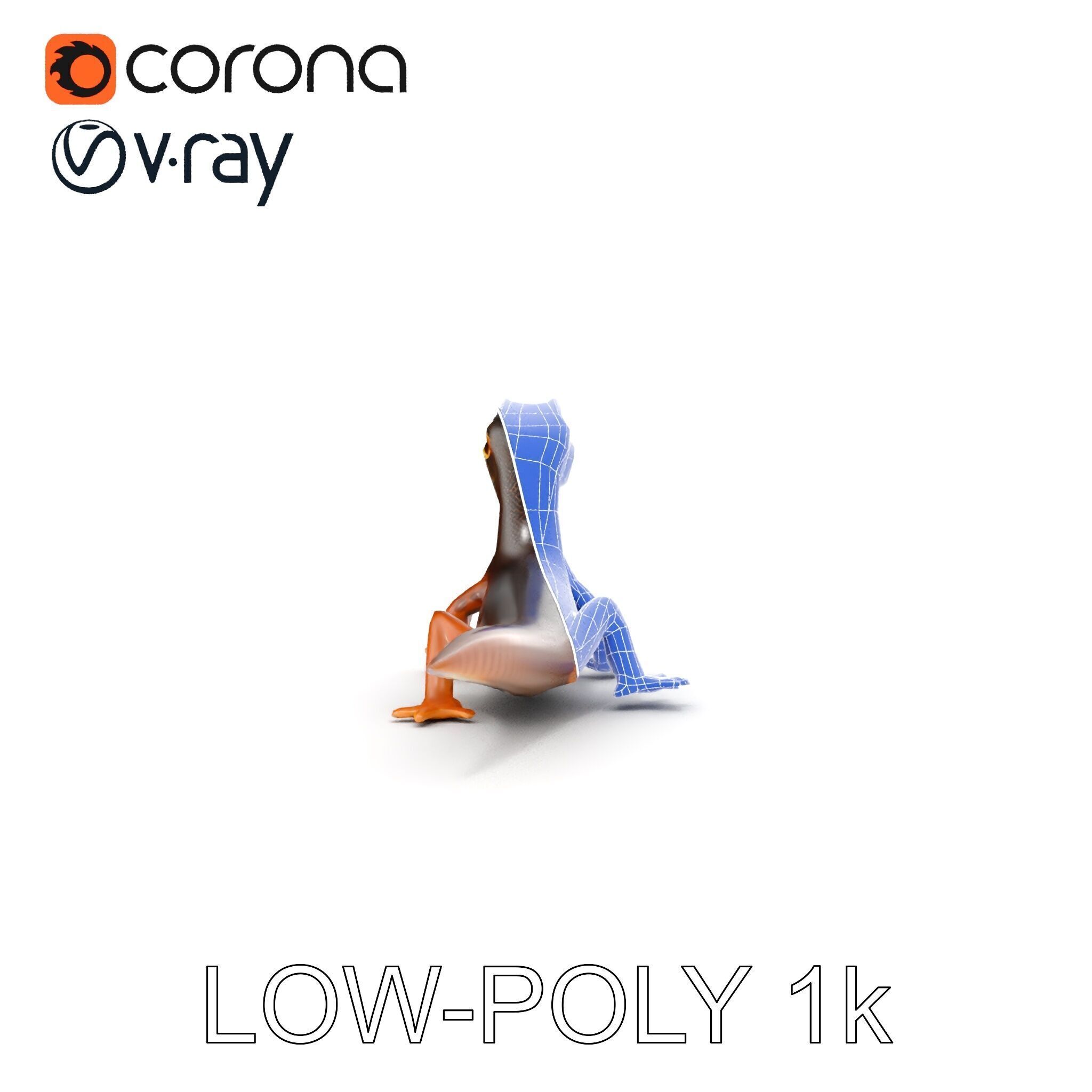 Realistic Lizard D Model Pack Low-poly 3D model_25