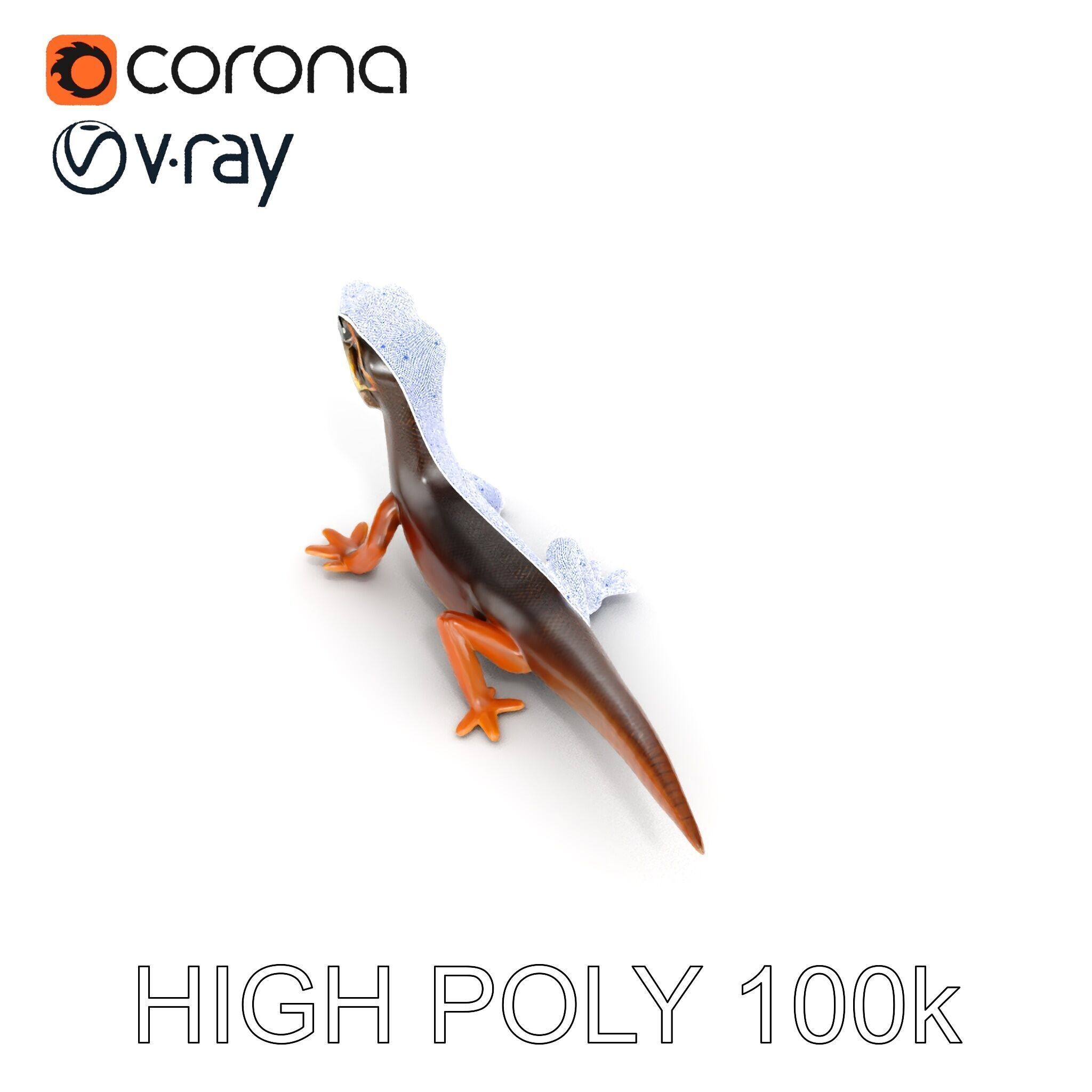 Realistic Lizard D Model Pack Low-poly 3D model_32