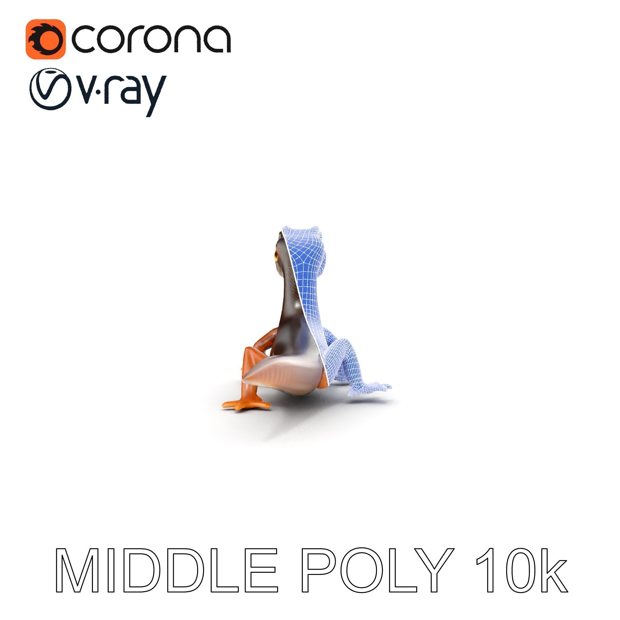 Realistic Lizard D Model Pack Low-poly 3D model_22