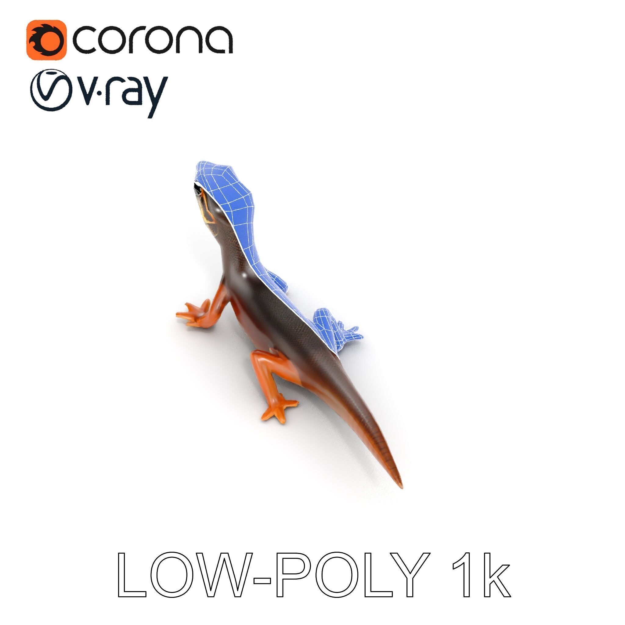Realistic Lizard D Model Pack Low-poly 3D model_15