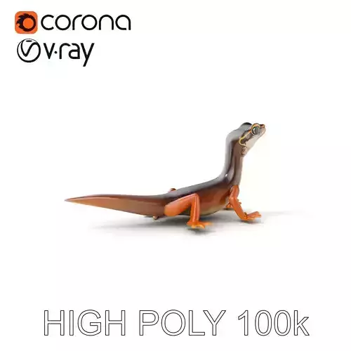 Realistic Lizard D Model Pack Low-poly 3D model