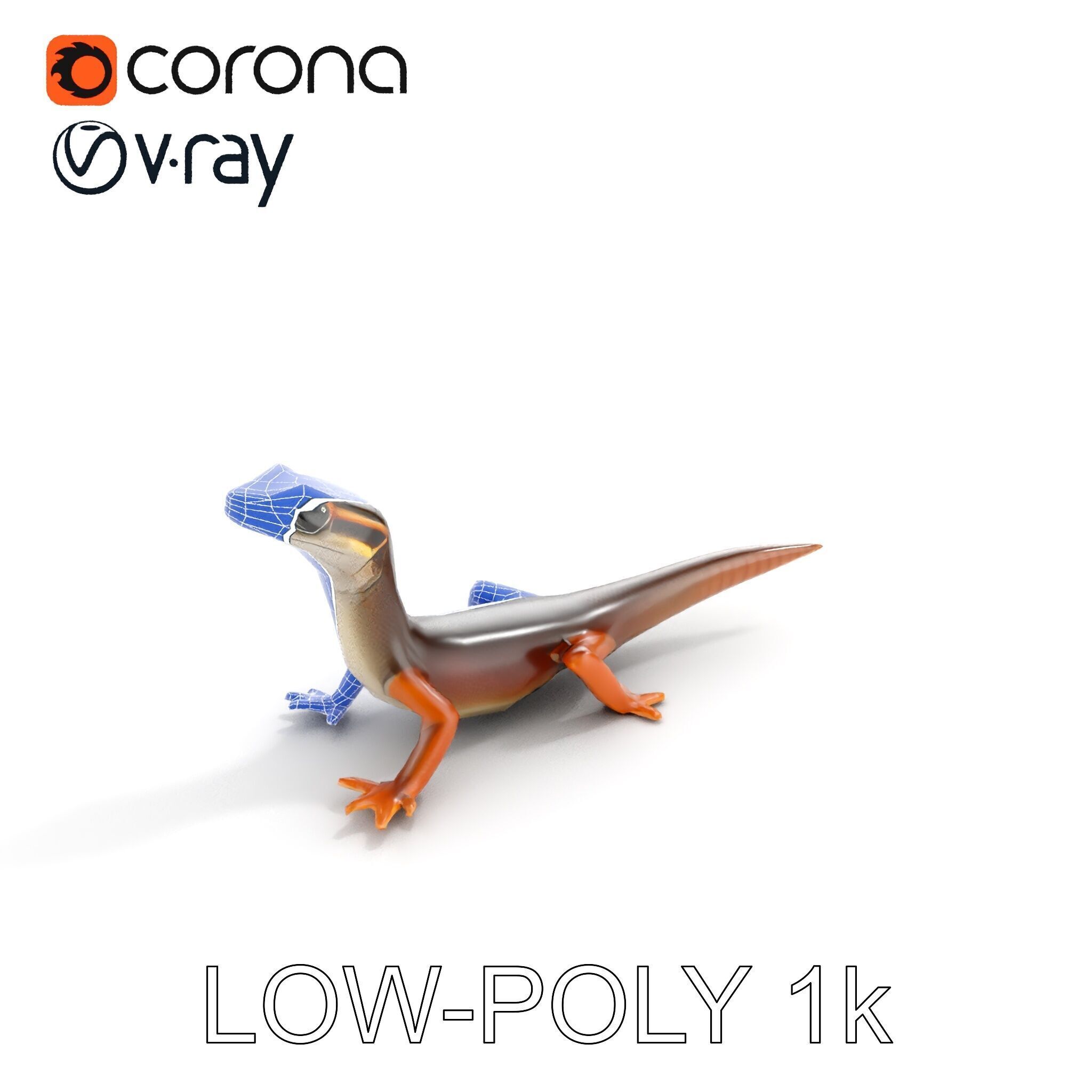 Realistic Lizard D Model Pack Low-poly 3D model_23