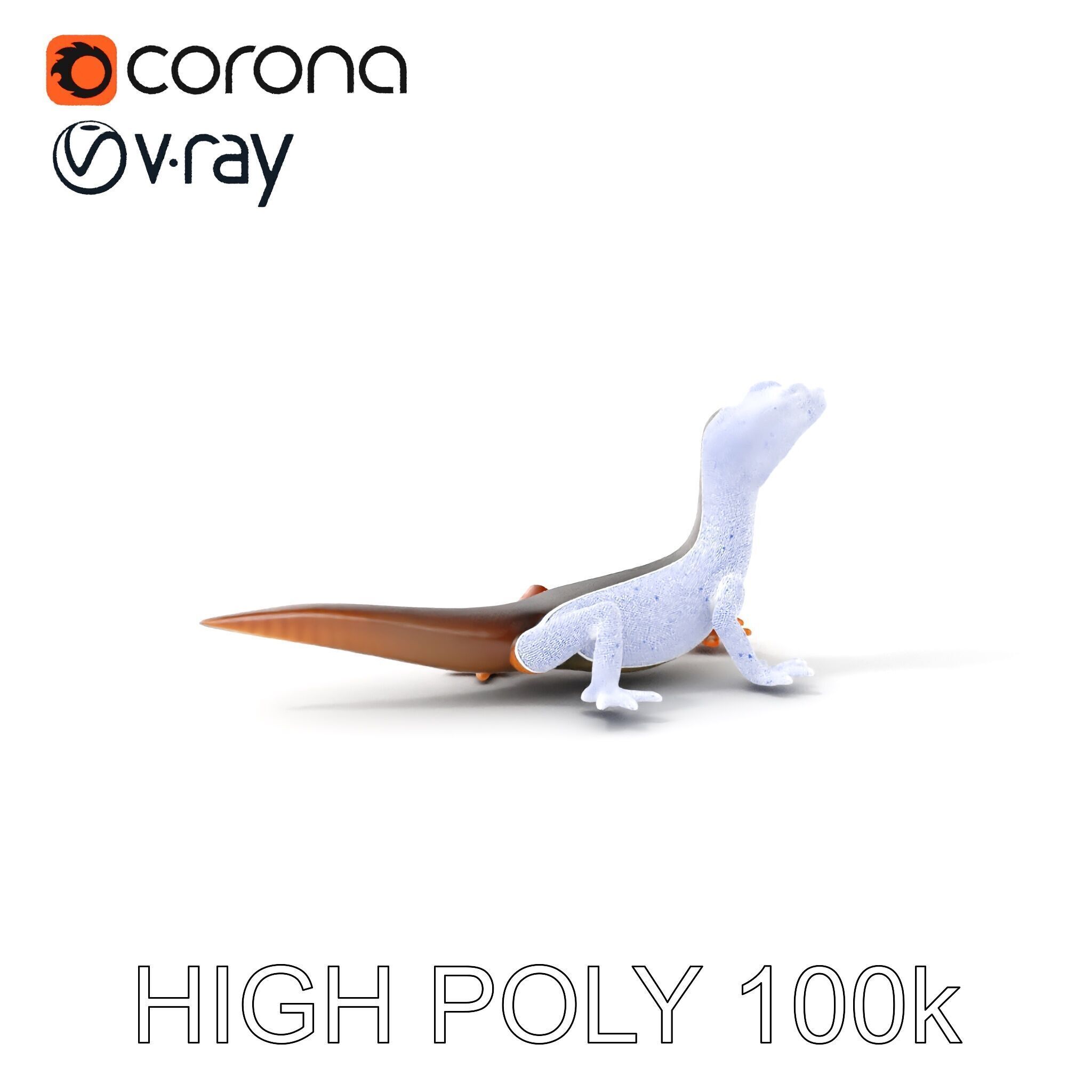 Realistic Lizard D Model Pack Low-poly 3D model_4