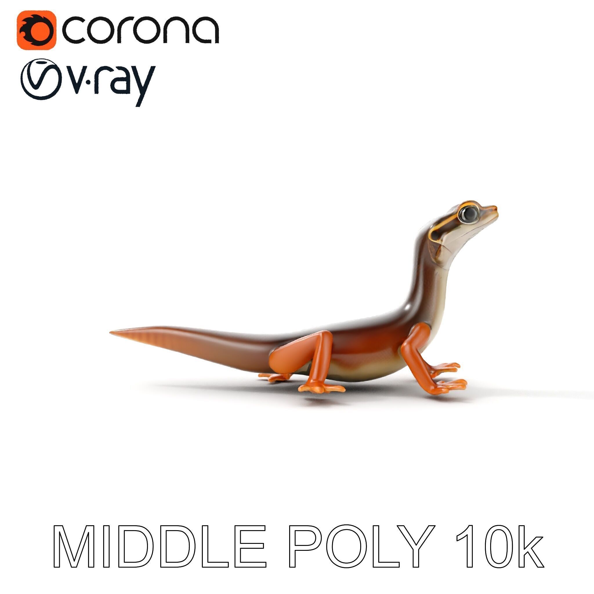 Realistic Lizard D Model Pack Low-poly 3D model_27
