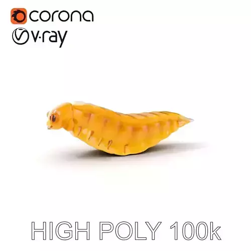 Insect Larva Model Pack for D Applications