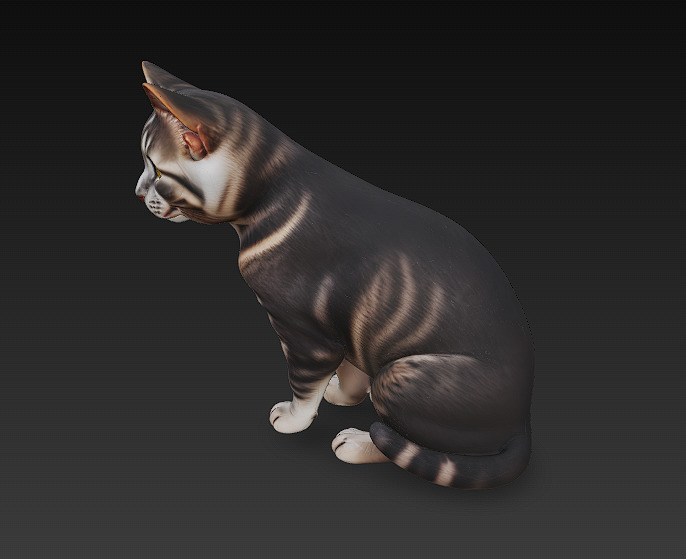 Cat Realistic 3D Model Basic - Low Poly Realistic Low-poly 3D model_5